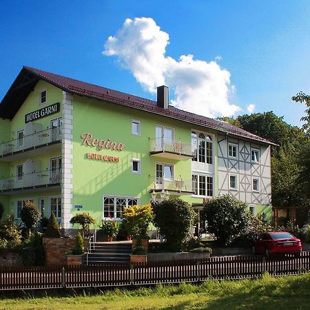 Hotel Garni Regina غوسوينستين المظهر الخارجي الصورة